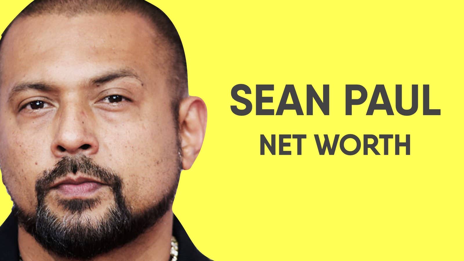 Sean Paul Net Worth