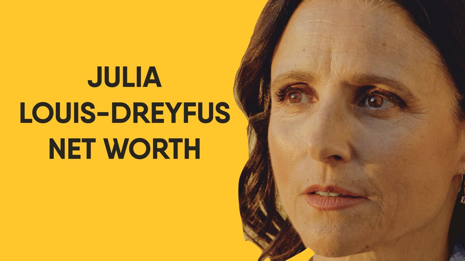 Julia Louis-Dreyfus Net Worth