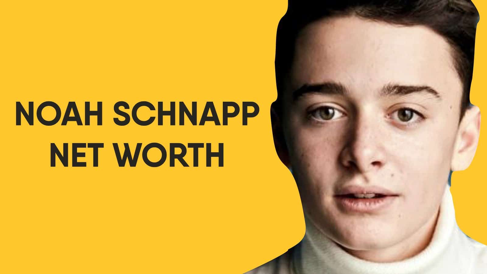 Noah Schnapp Net Worth