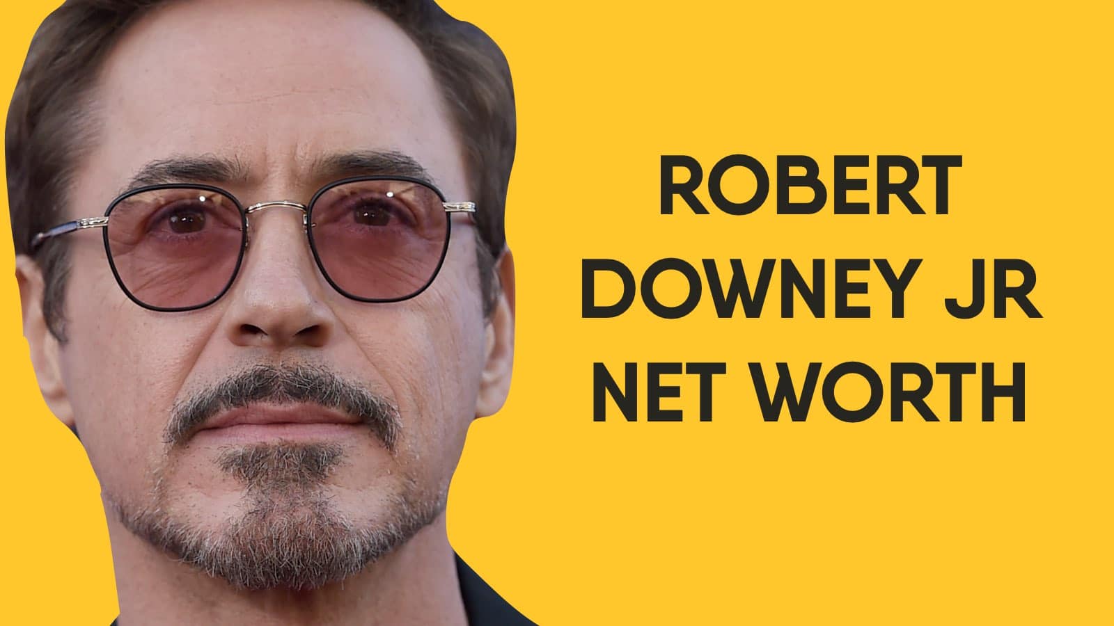 Robert Downey Jr Net Worth