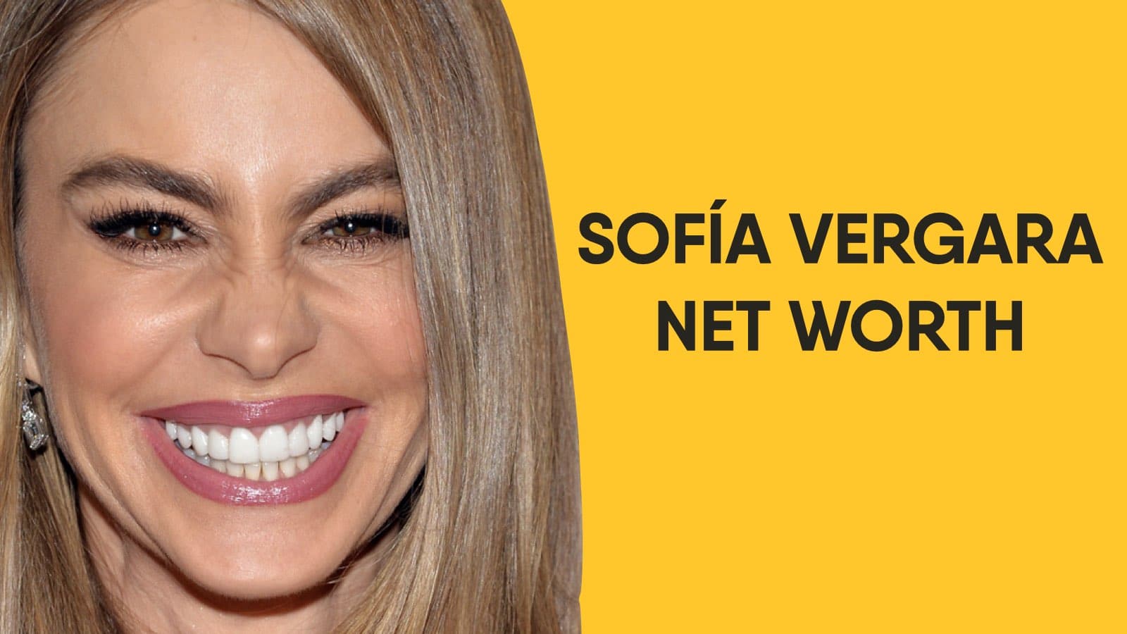 Sofía Vergara Net Worth